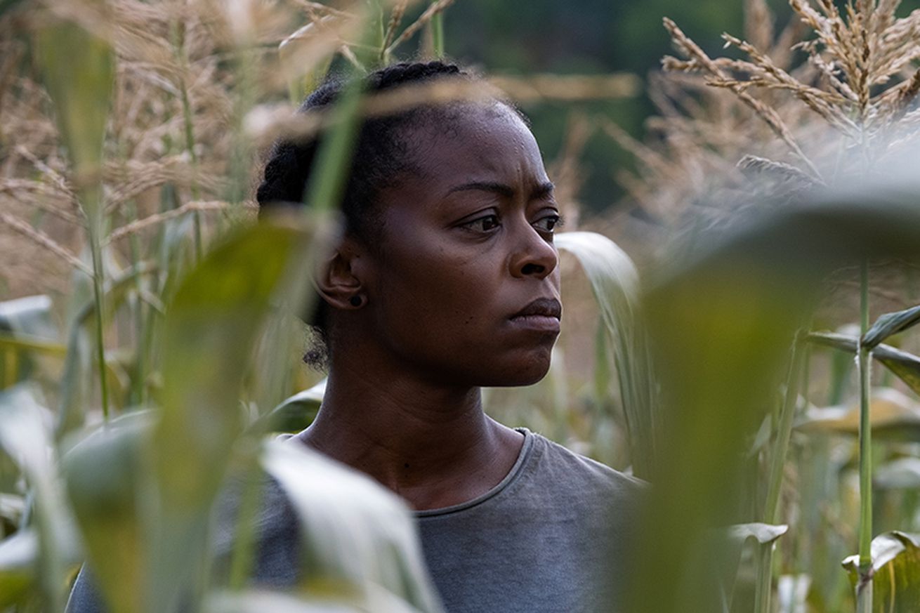 A woman in a gray shirt looking over her shoulder in a cornfield.